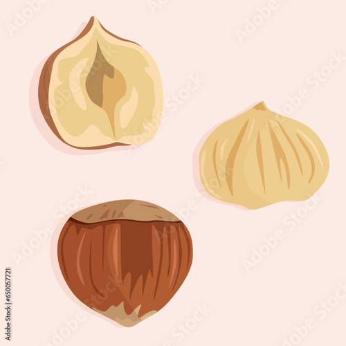 Hazelnuts, shelled and halved. Healthy and dietary food. Nuts icons in vector graphics.