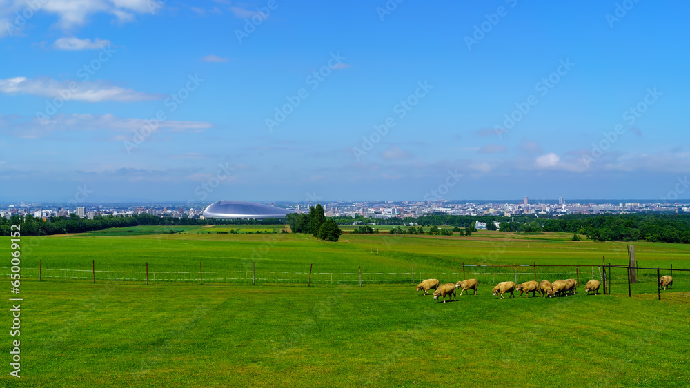 Φωτογραφία 北海道札幌羊ヶ丘から見る景色