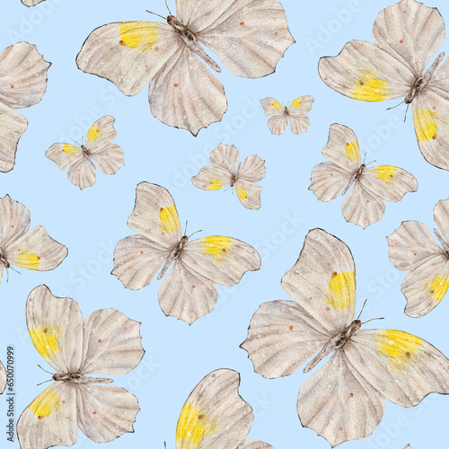 Seamless pattern with moth or white butterfly. Hand draw watercolor Insect illustration. Endless background for wallpaper  fabric  wrapping paper.