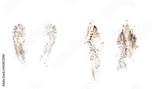 Black footprint isolated on white background, top view