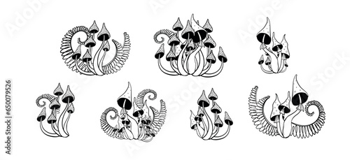 Set of hand drawn magic forest mushrooms, fly agarics and toadstools with ferns. Linear mystical witch tattoo, microdosing, vector illustration isolated on white background.