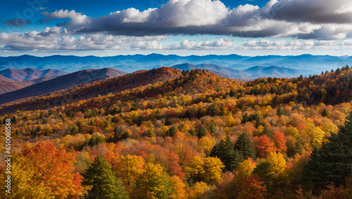  autumn fall colors landscape trees forested