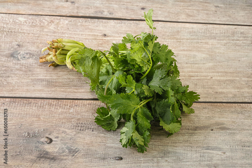 Green coriander leaves herb heap Green coriander leaves herb heap