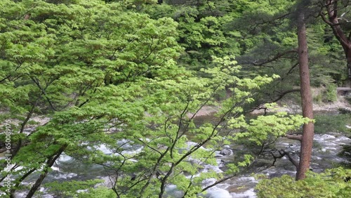 natural view from hot spring guest house in Japanese style room