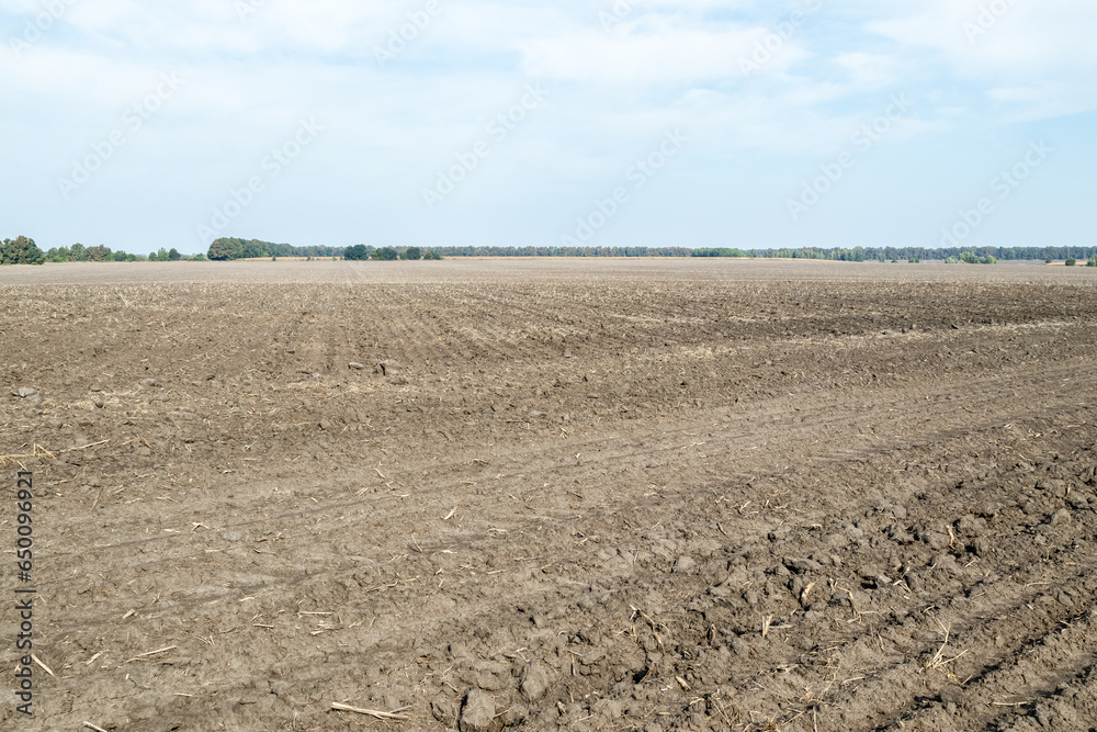Plowed agricultural field, tractor tracks, close-up of soil texture. Rural scene. Farming and food industry, the topic of environmental protection. Landscape with blue sky and trees on the horizon