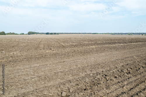 Plowed agricultural field, tractor tracks, close-up of soil texture. Rural scene. Farming and food industry, the topic of environmental protection. Landscape with blue sky and trees on the horizon