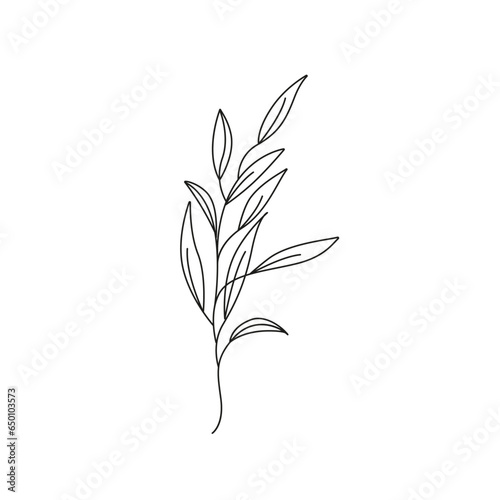 Leaves Branch Creative Outline Drawing. Leaves Trendy Abstract Line Drawing. Floral Beauty Fashion Art. Vector Minimalist Botanical Design for Wall Decor, Print, Card, Poster