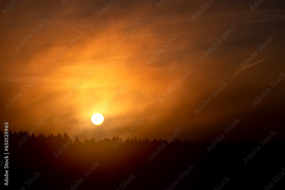 Forest wildfire at morning from a distance, with silhouettes of trees against dramatic red sky and heavy smoke. Sunrise over the forest in the smoke of forest fires