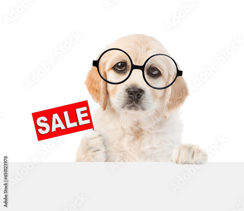Smart Golden retriver puppy wearing eyeglasses shows signboard with labeled "sale" above empty white banner. isolated on white background