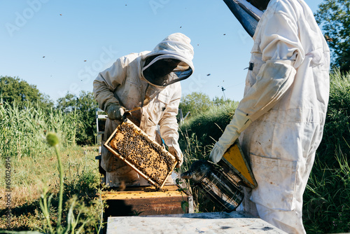 Anonymous apiarists working in farm in protective suits