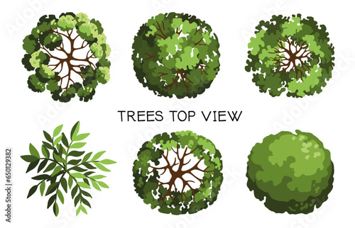 Trees for architectural floor plans. Entourage design. Various top-view trees for the landscape design plan. Vector illustration.