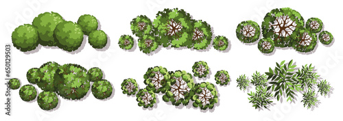 Tree for architectural floor plans. Entourage design. Various trees, bushes, and shrubs, top view for the landscape design plan. Vector illustration.