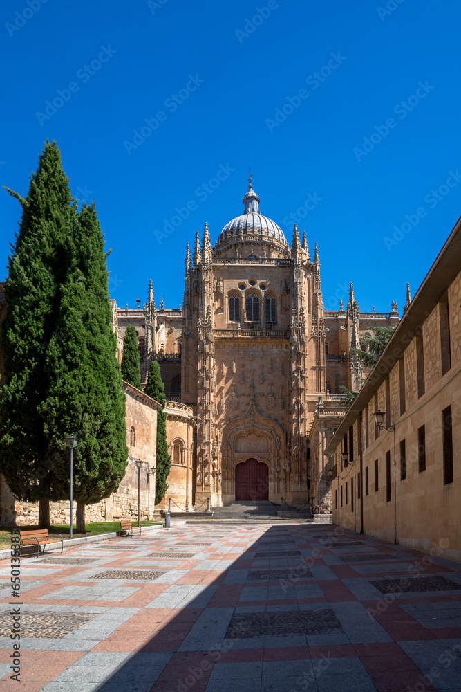Tower of the new cathedral of Salamanca, with ornaments in low relief from a walk with cypresses and wooden benches from a clear blue sky.
