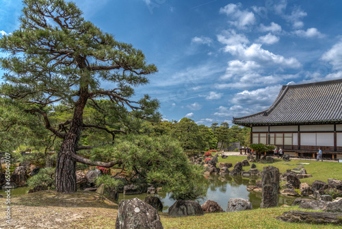 Kyoto, Japan, garden, zen, ninja