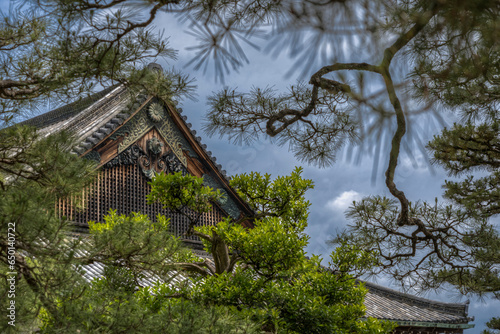 Kyoto, Japan, garden, zen, ninja