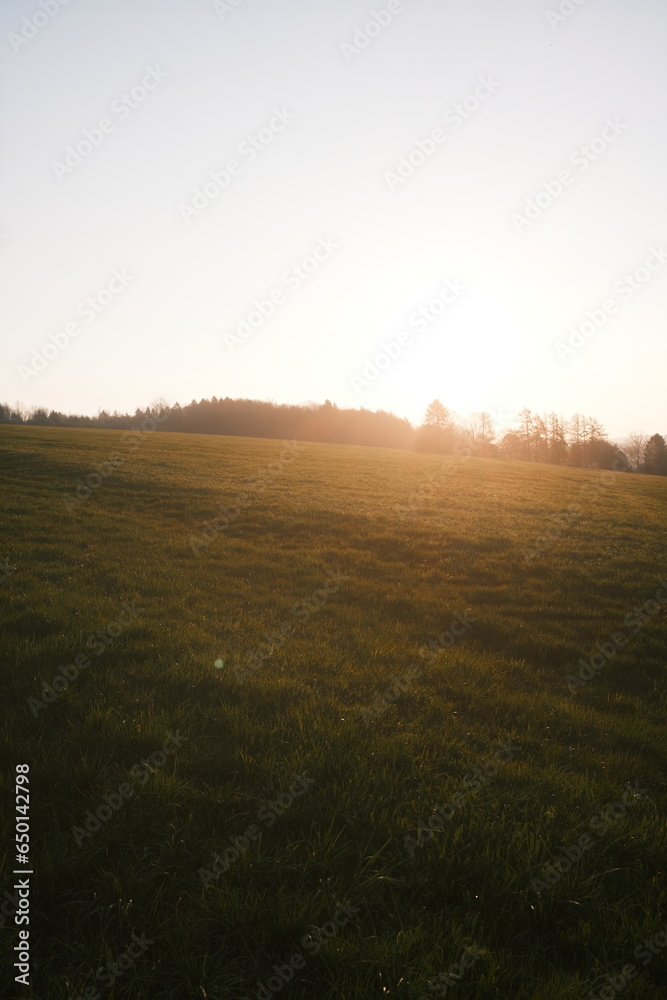 Obraz premium Sonnenaufgang über Harzer Wiesen
