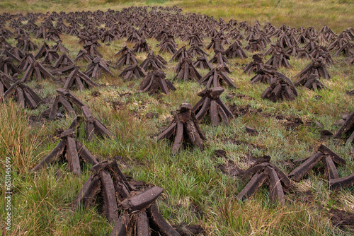 Stacked peat blocks, drying in the wind and sun.