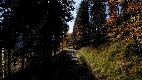 stunning nature shots in lover silesian photo