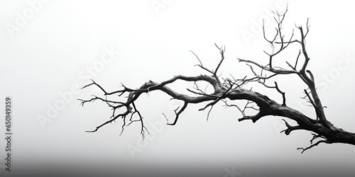 Branches of a dry tree on a background of a stormy sky, Minimalist tree silhouette, Nature's Serenity generative Ai