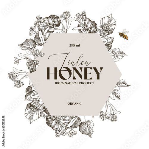 Linden honey vector label template