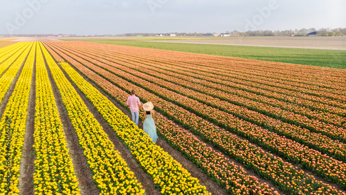 Men and women in flower fields seen from above with a drone in the Netherlands, flower fields #650162788