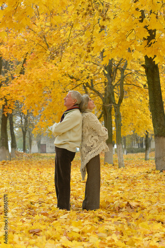 Nice elderly couple in a autumn park © aletia2011
