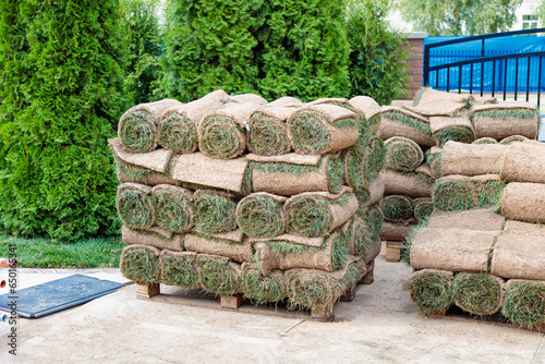 Lawn roll for landscaping the territory. Landscape design.
