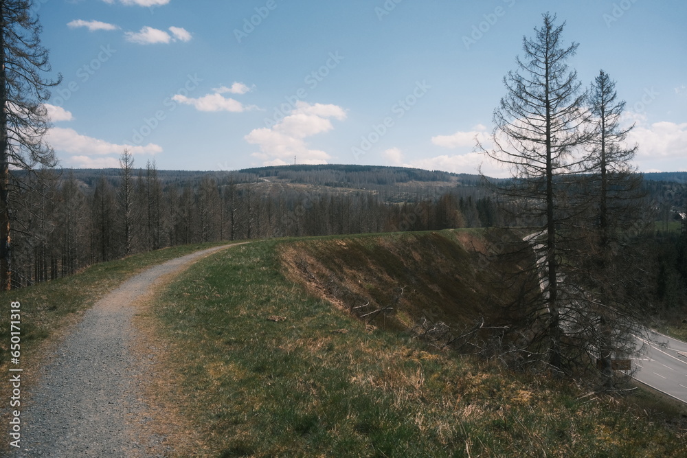 Wanderweg Oberharzer Wasserregal neben einer Straße Wanderweg Oberharzer Wasserregal neben einer Straße