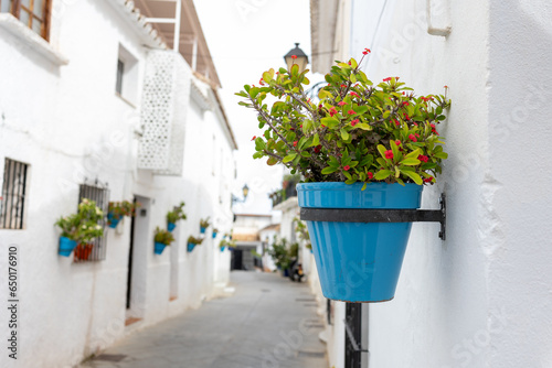 Charming Andalusian village adorned with vibrant potted plants on rustic walls, capturing the essence of Spanish beauty