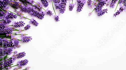 Flowers composition. Frame made of fresh lavender