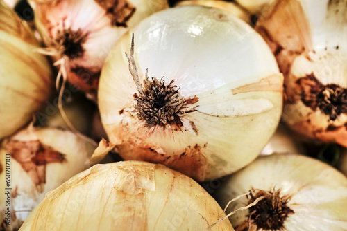 Organic white onions from the farmer's market photo