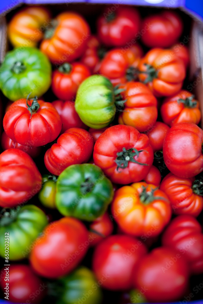 Fresh multicoloured tomatoes in a box Fresh multicoloured tomatoes in a box