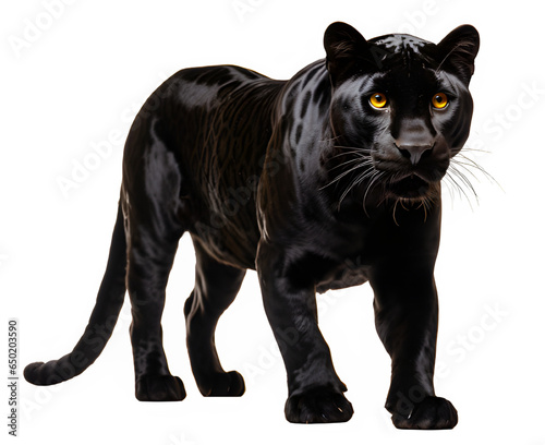 black panther isolated on transparent background ,the big black cat glared png ,generative ai