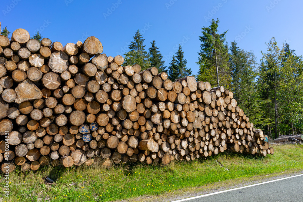 stack of firewood in the thuringian forest