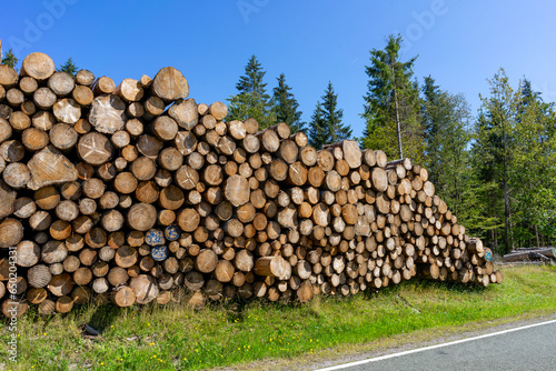 stack of firewood in the thuringian forest