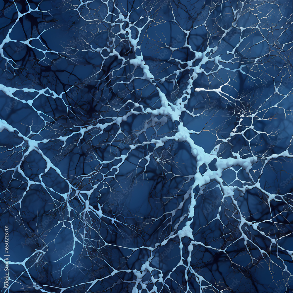Neural Network Neural Network