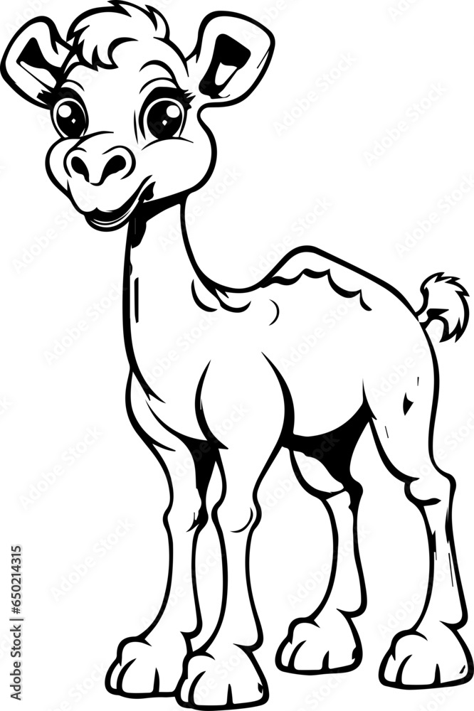 Obraz premium Camel animal vector, coloring page