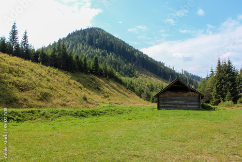 An old abandoned farm in the Carpathians 