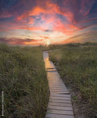 Boardwalk Winding Through Beach Grass at Sunset at Chatham, Cape Cod