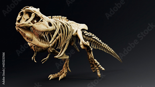 Trannosaurus Rex Sue Skeleton render of background. 3d rendering © racksuz