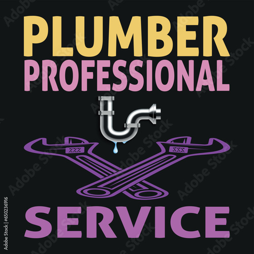 plumber professional service