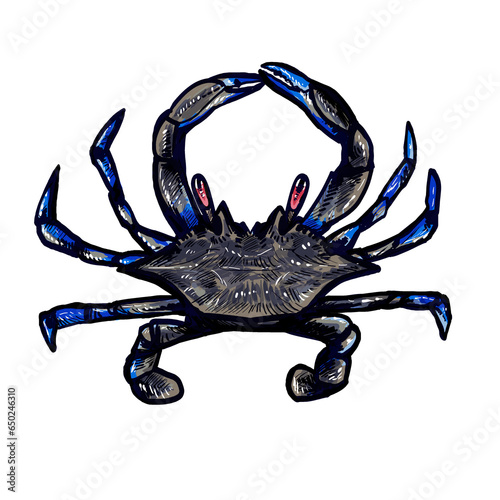 blue crab isolated on white © Dosiado