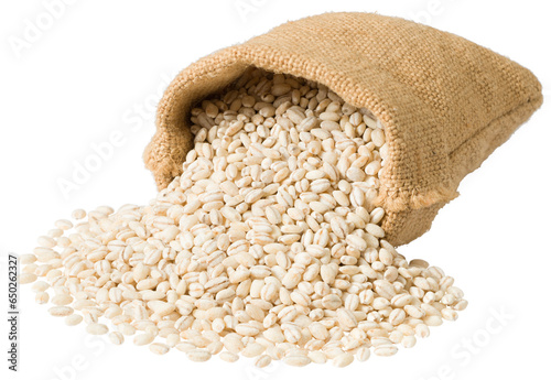 Raw highland barley in the sack, isolated on white background. photo