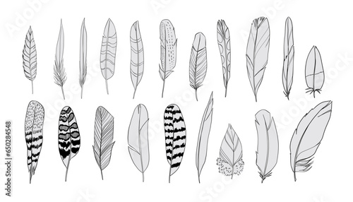 Feathers silhouettes set. Black and white realistic vector illustration