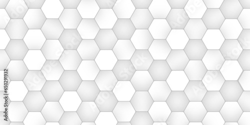 White Hexagon Background. Seamless Pattern with Hexagonal. Futuristic Honeycomb Mosaic White Background. © Aquarium
