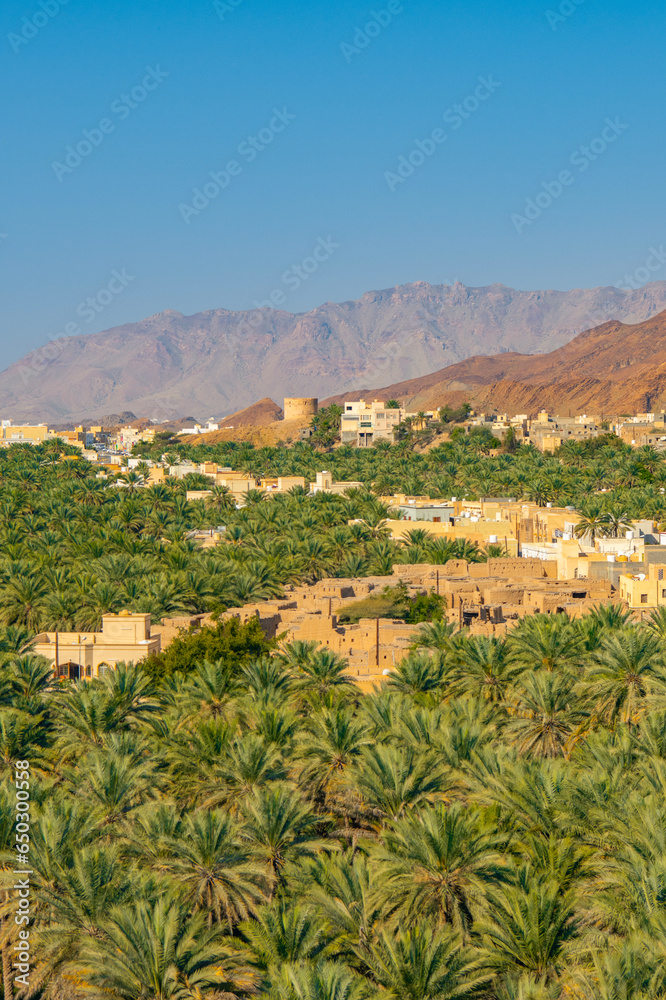 View of the Wadi Bani Khalid oasis in the desert in Sultanate of Oman.
