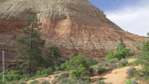 Checkerboard Mesa an Iconic Elevation Navajo Sandstone at Zion National Park in Southwest Utah USA photo