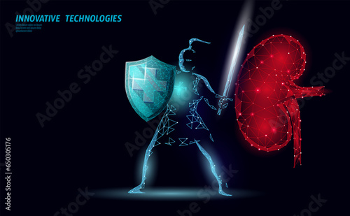 Low poly 3D human kidney shield protect. Medicine recovery technology drug medicine concept. Vector illustration