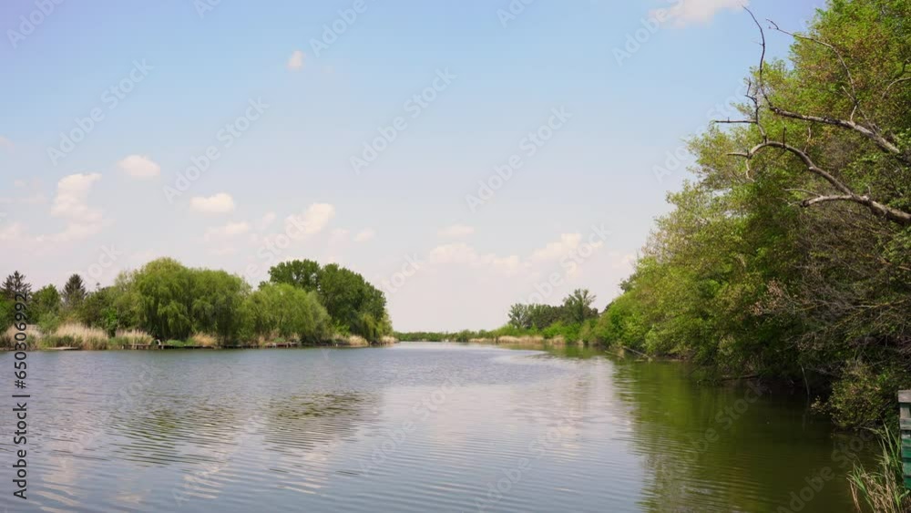 Clear pond near the woods in summer time Clear pond near the woods in summer time