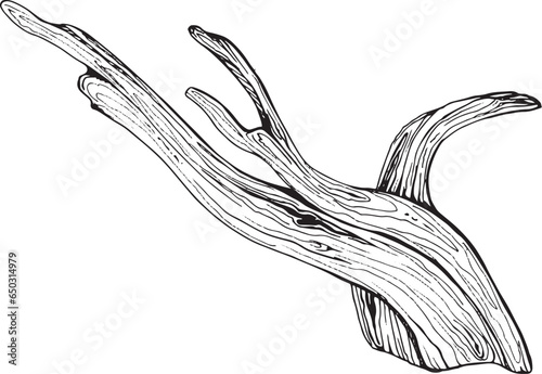 Illustration in black and white graphics driftwood, branch isolated. Hand-drawn translated into vector. Designed for design, printing on fabric, packaging, prints, stickers, posters, postcards